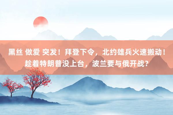 黑丝 做爱 突发！拜登下令，北约雄兵火速搬动！趁着特朗普没上台，波兰要与俄开战？