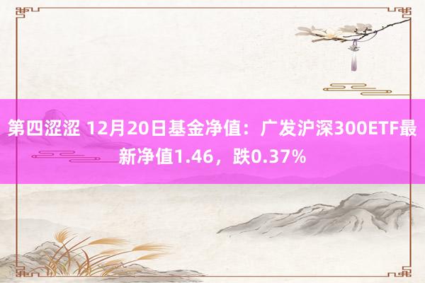 第四涩涩 12月20日基金净值：广发沪深300ETF最新净值1.46，跌0.37%