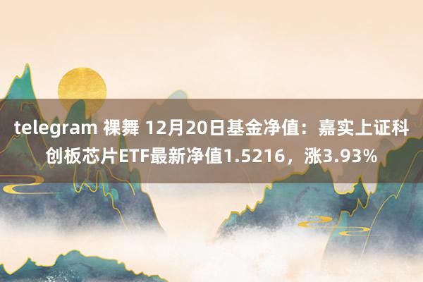 telegram 裸舞 12月20日基金净值：嘉实上证科创板芯片ETF最新净值1.5216，涨3.93%