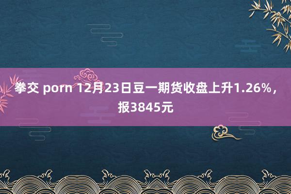 拳交 porn 12月23日豆一期货收盘上升1.26%，报3845元