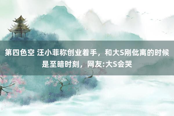 第四色空 汪小菲称创业着手，和大S刚仳离的时候是至暗时刻，网友:大S会哭