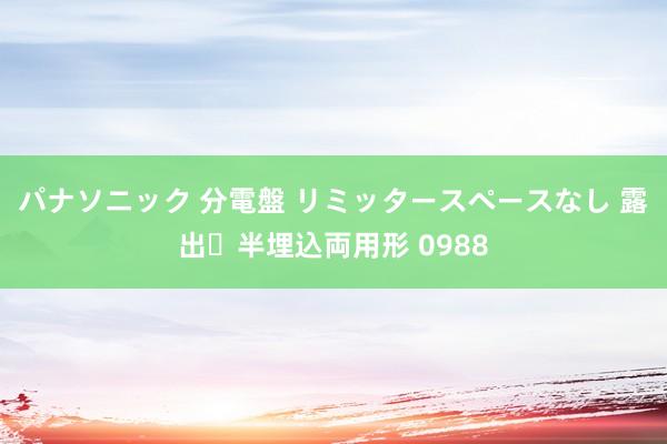 パナソニック 分電盤 リミッタースペースなし 露出・半埋込両用形 0988