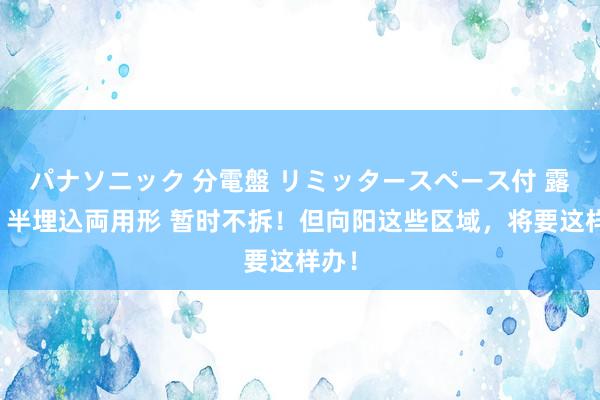 パナソニック 分電盤 リミッタースペース付 露出・半埋込両用形 暂时不拆！但向阳这些区域，将要这样办！