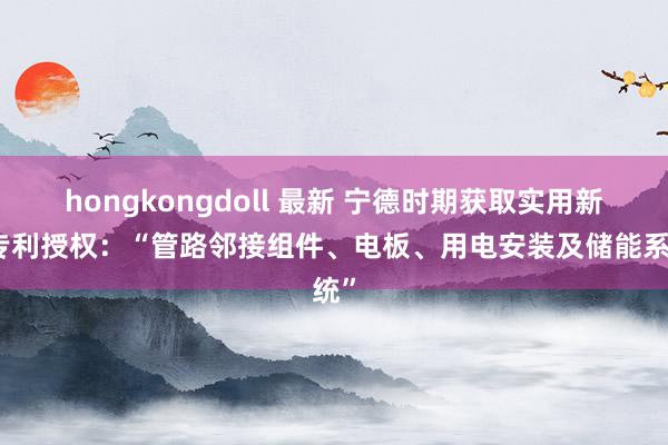 hongkongdoll 最新 宁德时期获取实用新式专利授权：“管路邻接组件、电板、用电安装及储能系统”