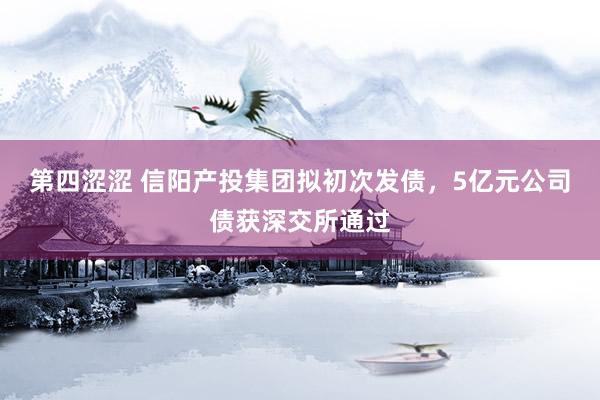 第四涩涩 信阳产投集团拟初次发债，5亿元公司债获深交所通过