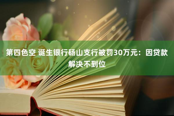 第四色空 诞生银行砀山支行被罚30万元：因贷款解决不到位