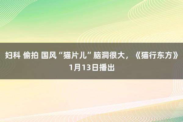 妇科 偷拍 国风“猫片儿”脑洞很大，《猫行东方》1月13日播出