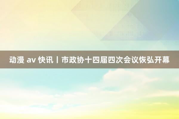 动漫 av 快讯丨市政协十四届四次会议恢弘开幕