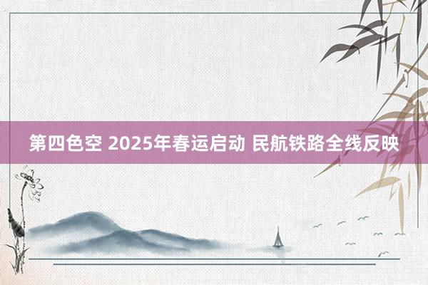 第四色空 2025年春运启动 民航铁路全线反映