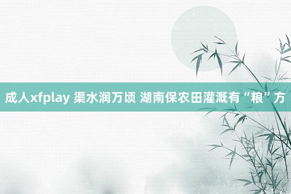 成人xfplay 渠水润万顷 湖南保农田灌溉有“粮”方