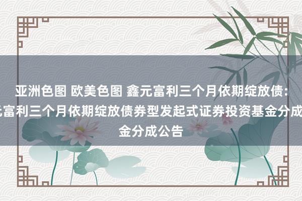 亚洲色图 欧美色图 鑫元富利三个月依期绽放债: 鑫元富利三个月依期绽放债券型发起式证券投资基金分成公告